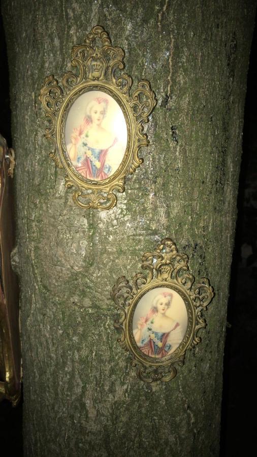 The Secret Garden Arona Villa In Piazza Del Popolo 16 Historical Center المظهر الخارجي الصورة